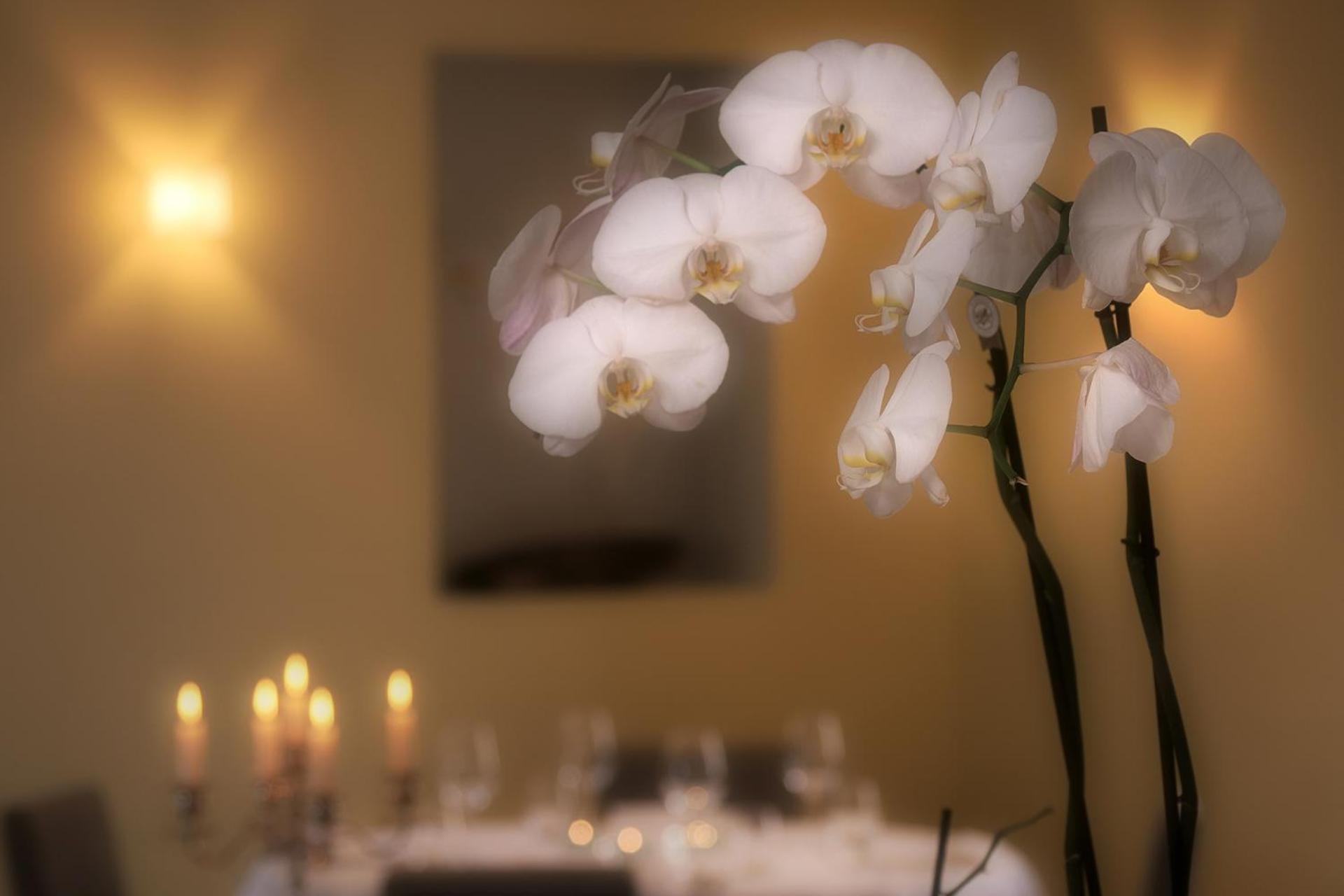 Ristorante Charme Hotel Tre Terre Ponte Brolla Extérieur photo